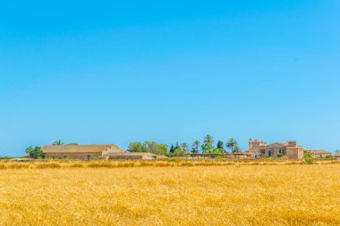 Kırsal Mallorca, İspanya