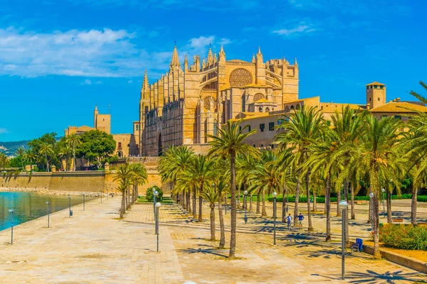 Catedral Mallorca Spai — Stock Photo, Image