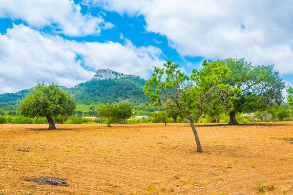 Kırsal Mallorca, İspanya