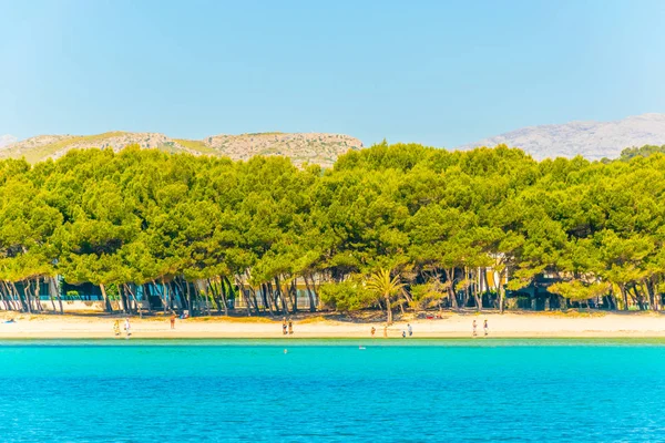 Üdülőhelyek Nyúlt Mellett Alcudia Strandtól Mallorca Spai — Stock Fotó
