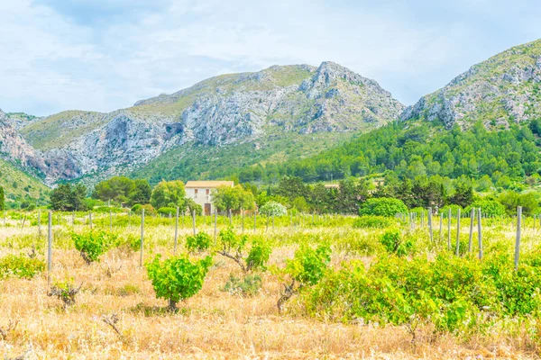 Kırsal Mallorca, İspanya
