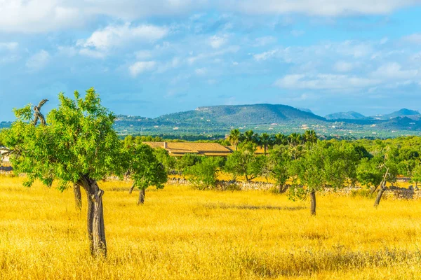 Kırsal Mallorca, İspanya