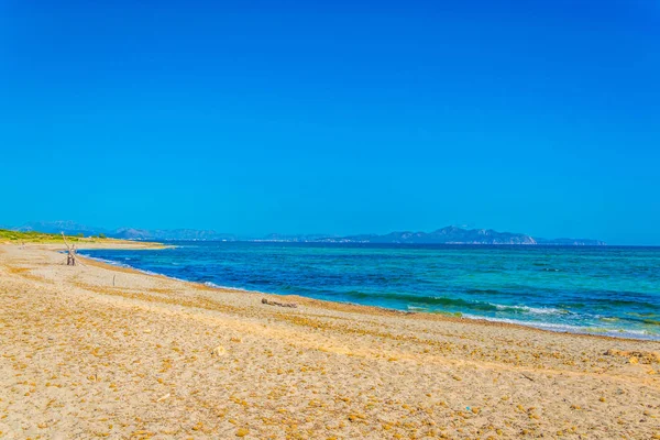 Canova Playa Virgen Situada Bahía Alcudia Mallorca Spai — Foto de Stock