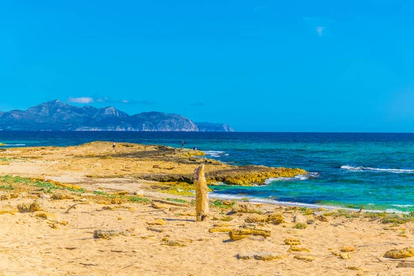 Playa Sarenal Den Casat Mallorca Spai — 스톡 사진