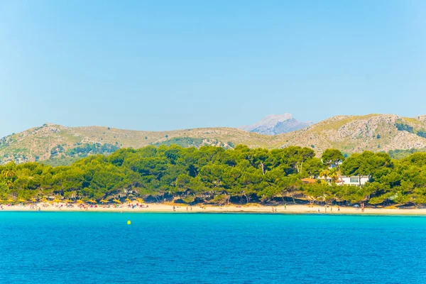Urlaubsorte Strand Von Alcudia Auf Mallorca Spanien — Stockfoto