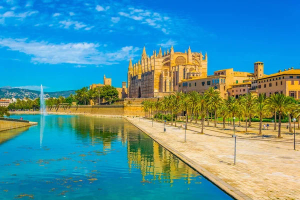 Mallorca Katedrali, Spai