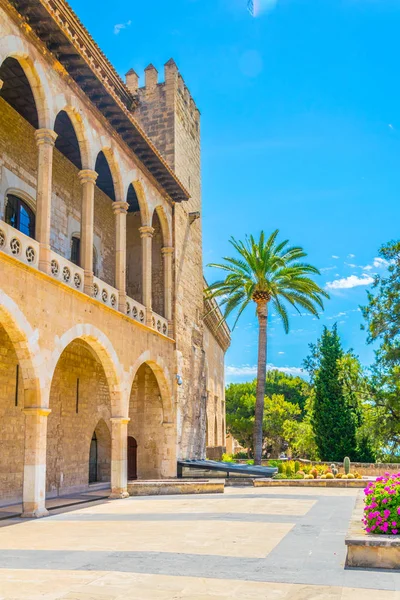 Palma Mallorca Spai Almudaina Sarayın Ana Avlu — Stok fotoğraf