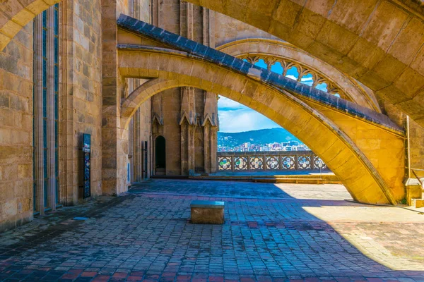 Toit Cathédrale Palma Majorque Spai — Photo