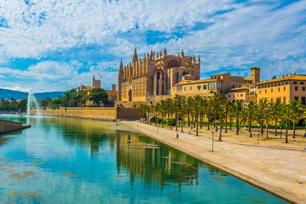 Mallorca Katedrali, Spai