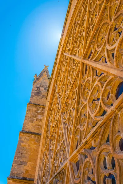 Objectieve Blik Het Hoofdvenster Van Kathedraal Van Palma Mallorca Spai — Stockfoto