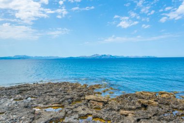 Mallorca, Spai koyunda Alcudia