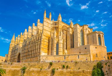 Mallorca Katedrali, Spai