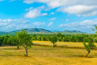 Kırsal Mallorca, İspanya