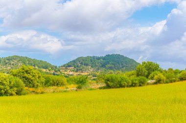 Kırsal Mallorca, İspanya