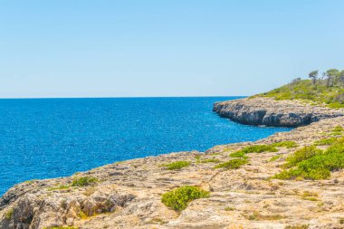 Mallorca, Spai koyunda Cala Pi