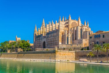 Mallorca Katedrali, Spai