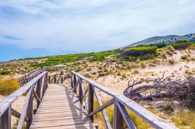 Cala Mesquida, Mallorca, Spai, kum tepeleri üzerinde ahşap köprü