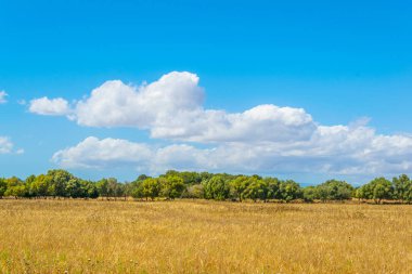 Kırsal Mallorca, İspanya
