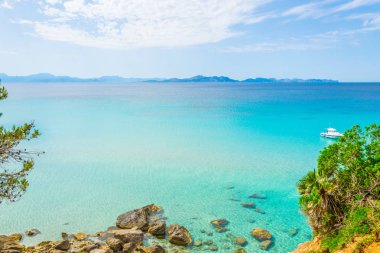 Mallorca, Spai koyunda Alcudia