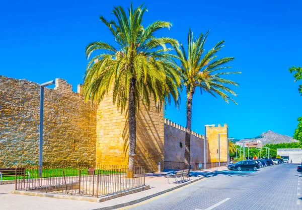 Mallorca Spai Alcudia Şehrin Sur — Stok fotoğraf