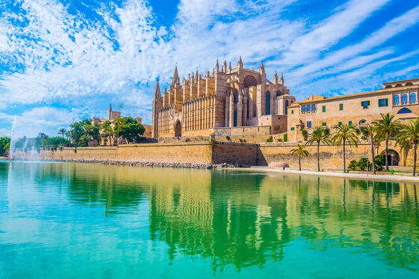 Mallorca Katedrali, Spai