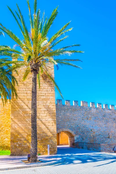 Mallorca, Spai, Alcudia şehrin sur