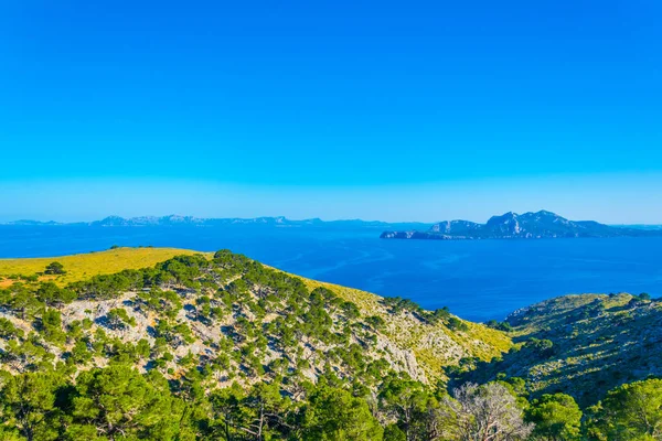 Pollenca Baai Omringd Door Cap Formentor Victoria Schiereiland Mallorca Spai — Stockfoto