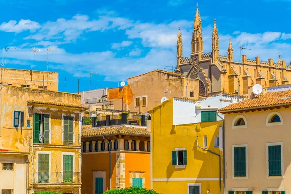 Cathedral of Palma de Mallorca Ortaçağ surları, Spai üzerinden görünümü