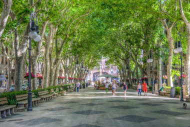 Palma De Mallorca, İspanya, 18 Mayıs 2017: İnsanlar Passeig del tarihi, tarihi merkezi Palma de Mallorca, Spai aracılığıyla gezinme