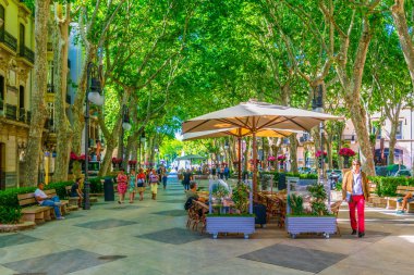 Palma De Mallorca, İspanya, 18 Mayıs 2017: İnsanlar Passeig del tarihi, tarihi merkezi Palma de Mallorca, Spai aracılığıyla gezinme