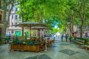 Palma De Mallorca, İspanya, 18 Mayıs 2017: İnsanlar Passeig del tarihi, tarihi merkezi Palma de Mallorca, Spai aracılığıyla gezinme