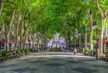 Palma De Mallorca, İspanya, 18 Mayıs 2017: İnsanlar Passeig del tarihi, tarihi merkezi Palma de Mallorca, Spai aracılığıyla gezinme