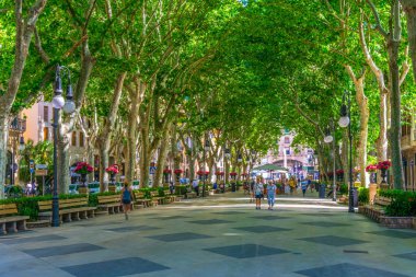 Palma De Mallorca, İspanya, 18 Mayıs 2017: İnsanlar Passeig del tarihi, tarihi merkezi Palma de Mallorca, Spai aracılığıyla gezinme