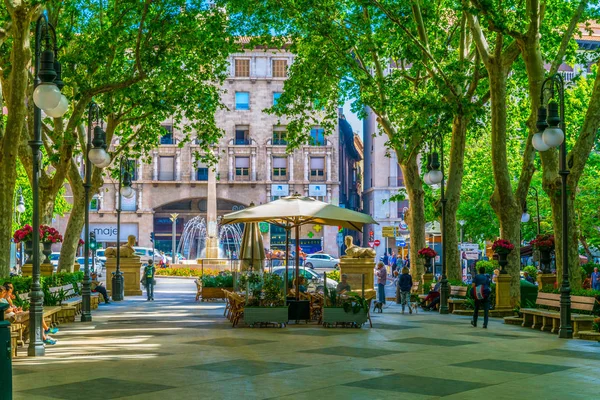 Palma Mallorca España Mayo 2017 Gente Está Paseando Por Passeig — Foto de Stock