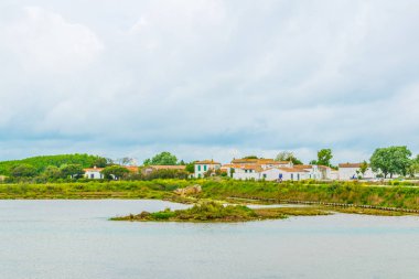 Ile de Re Frangı içinde kırsal