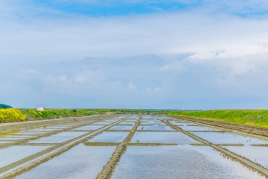 İstiridye Ile de Re Frangı arasında gerilmiş yataklar