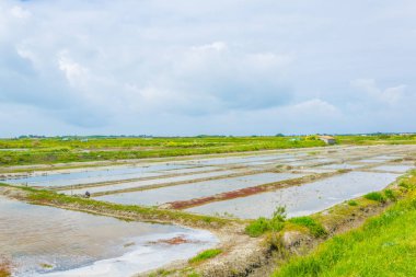 İstiridye Ile de Re Frangı arasında gerilmiş yataklar