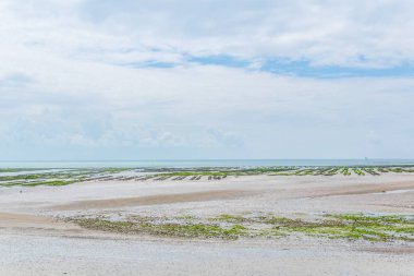 Ile de Re Frangı içinde kırsal