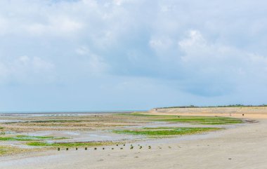 Ile de Re Frangı içinde kırsal