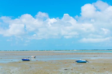Ile de Re Frangı içinde kırsal