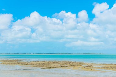 Ile de Re Frangı içinde kırsal