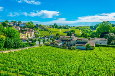 Üzüm bağları, Saint Emilion, Frangı