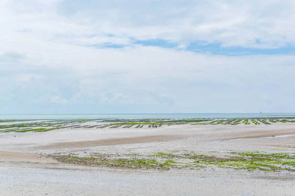 Ile de Re Frangı içinde kırsal