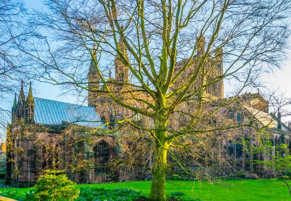 Catedral Chester Inglaterra — Foto de Stock