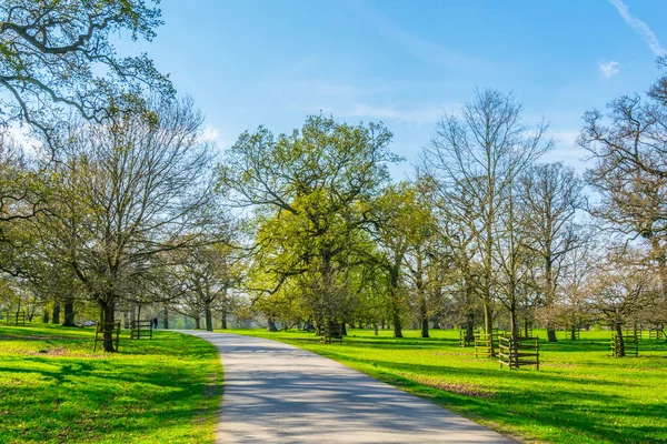 Vista Propriedade Burghley Stamford Englan — Fotografia de Stock