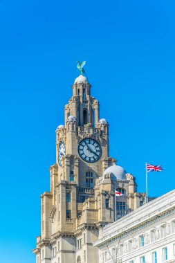 Liverpool, Englan bina Kraliyet karaciğer