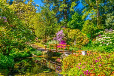 İrelan Powerscourt Estate içinde Japon Bahçesi