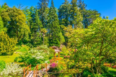 İrelan Powerscourt Estate içinde Japon Bahçesi