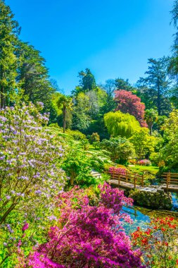 İrelan Powerscourt Estate içinde Japon Bahçesi