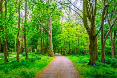 Irelan bahçelerde Malahide'den